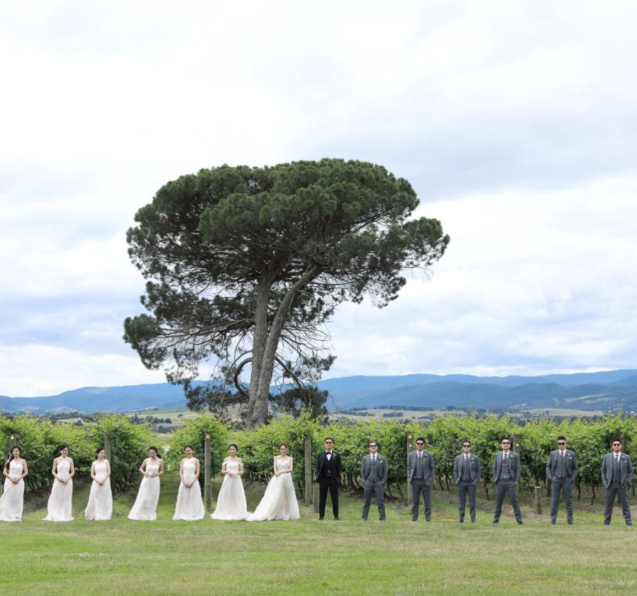 高清婚照新鲜出炉！余文乐王棠云澳洲完婚 彭于晏也在场