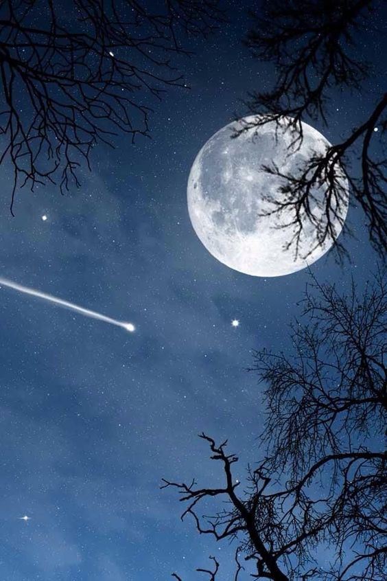 🇲🇾5月6日将迎宝瓶座η流星雨🌠预估每小时天顶流星数约50颗✨