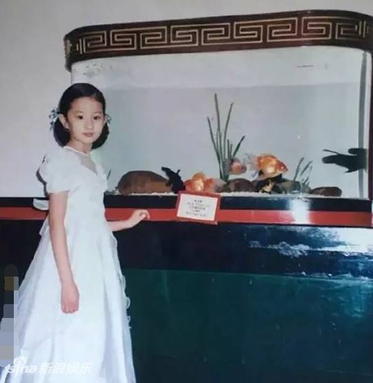 刘亦菲曝美国时期照片！才13岁就已美得惊天动地