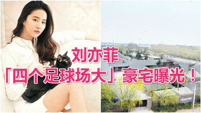 刘亦菲「四个足球场大」豪宅曝光!网友最惊讶她家竟有这么多...