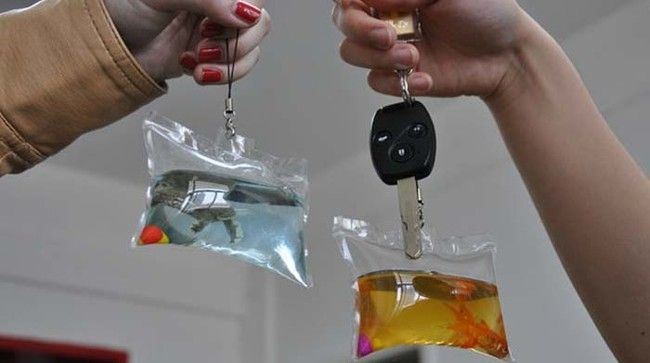 中国小贩竟把活鱼、活龟密封制成锁匙扣！网友怒骂：残忍