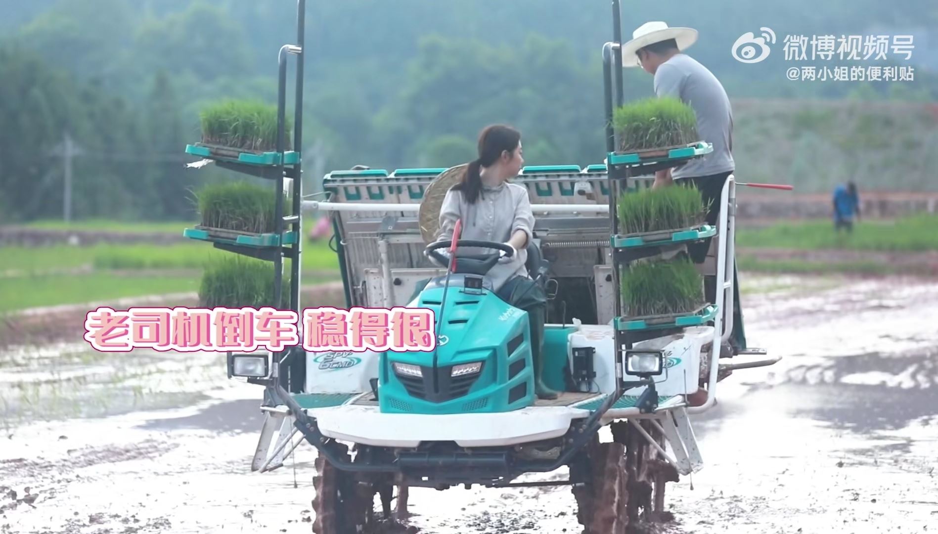 📺《我们这十年之心之所向》开播🔥谭松韵get插秧机驾驶技能✅