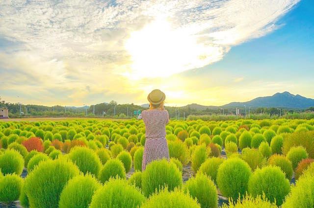 走进桃乐丝的童话里!到韩国来场绿野仙踪奇遇吧