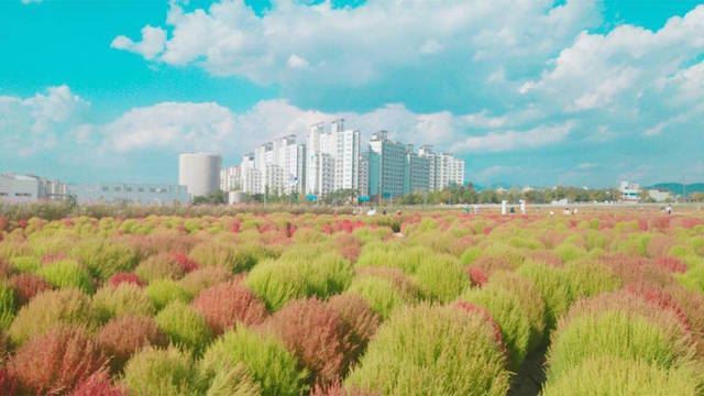 走进桃乐丝的童话里!到韩国来场绿野仙踪奇遇吧