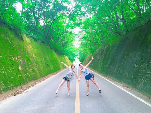 走进桃乐丝的童话里!到韩国来场绿野仙踪奇遇吧