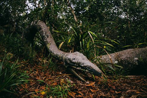 胆小者勿进！大马猛鬼屋就在此！