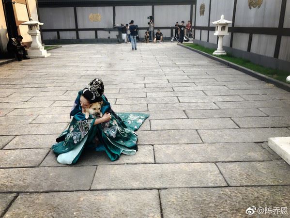 被网友吐槽拍照技术烂！陈乔恩晒女神级自拍反击