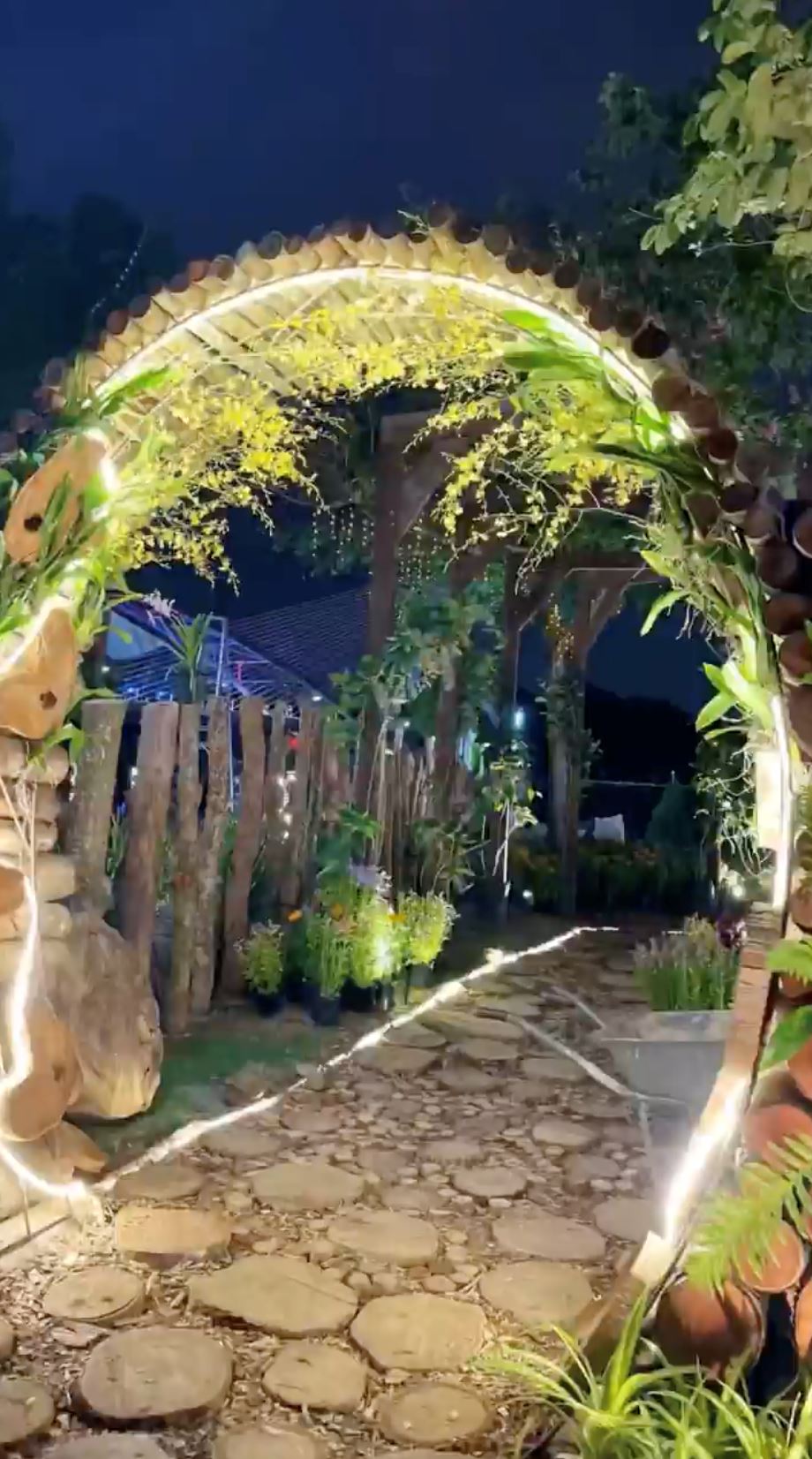 🌸带你进入花花世界❗️布城皇家花卉展829开始啦🔥共展出40万棵植物花卉🍃