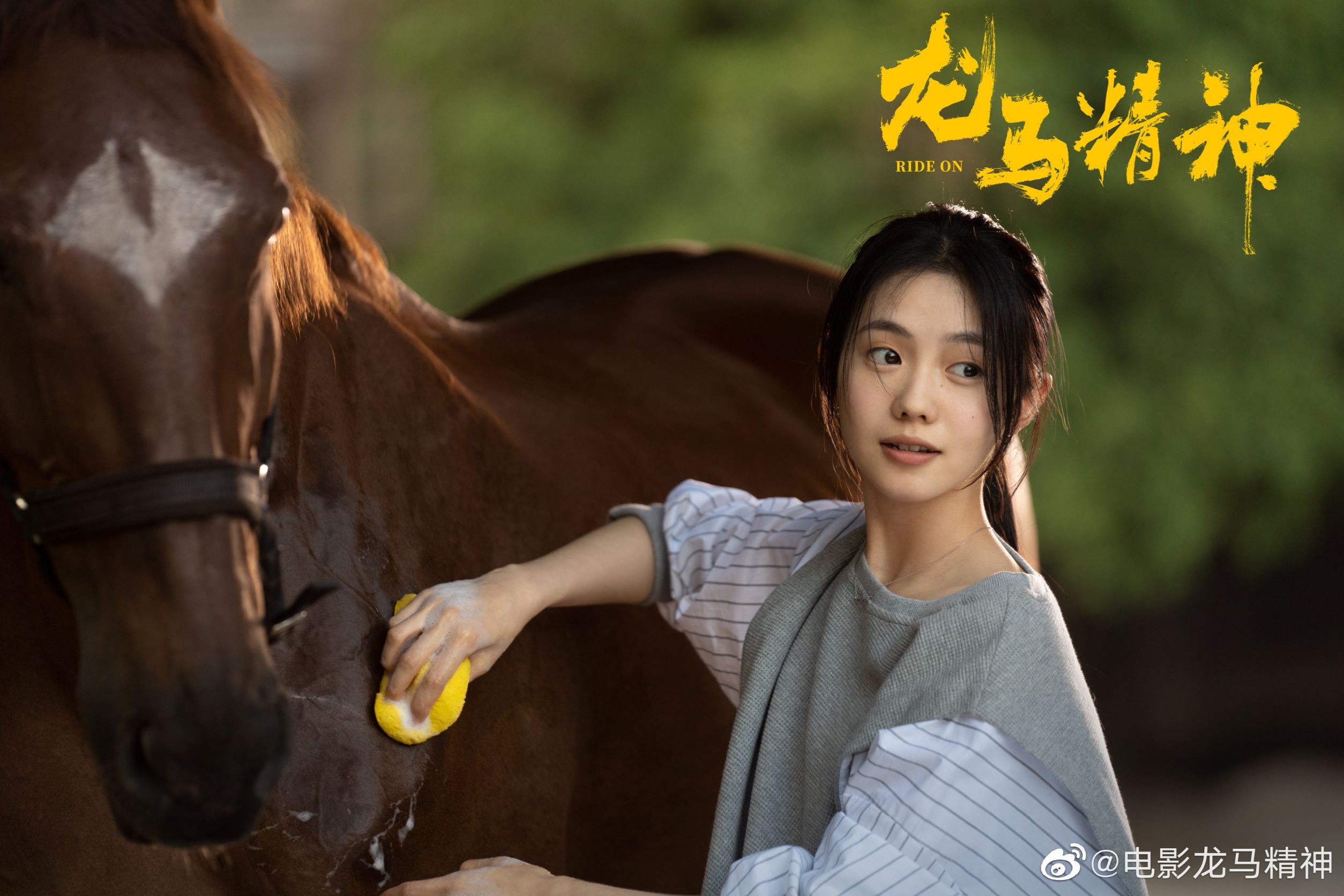 🎬《龙马精神》全阵容亮相 ✨电影定档12月31日上映🔥