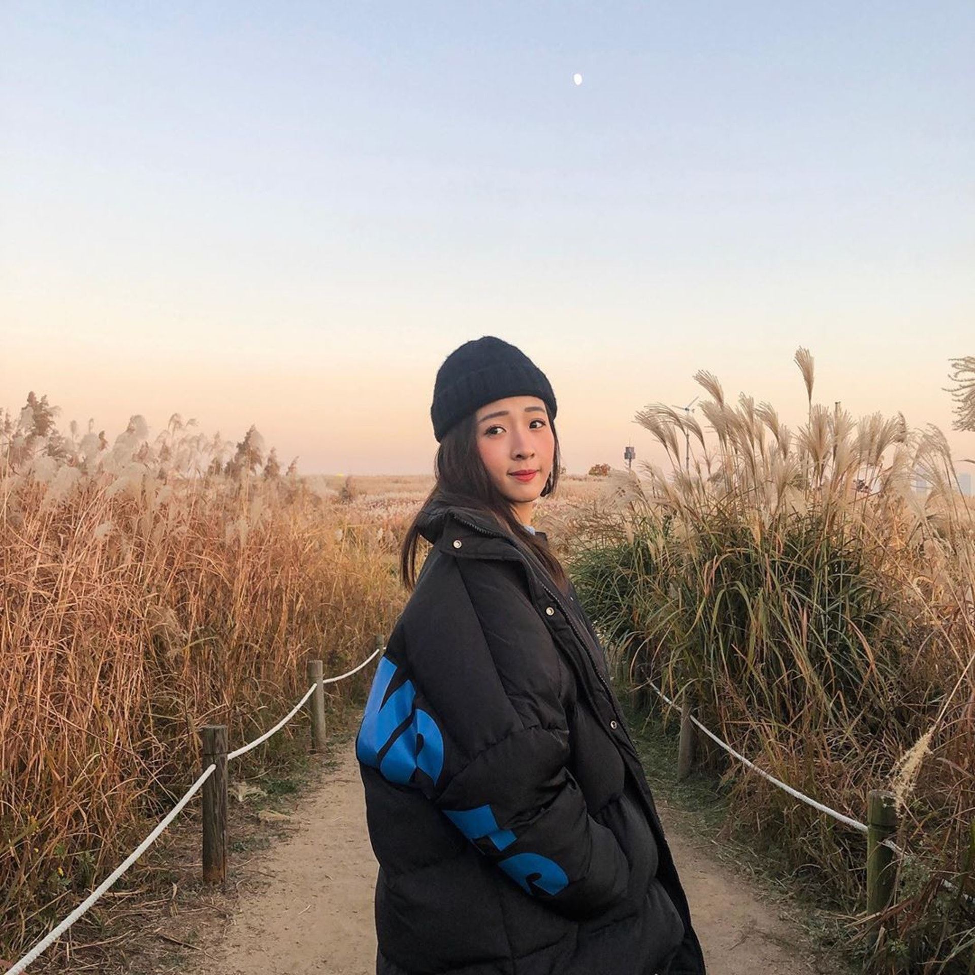 《杀手》、《迷网》傻傻分不清！两套剧竟有同样的二十个演员