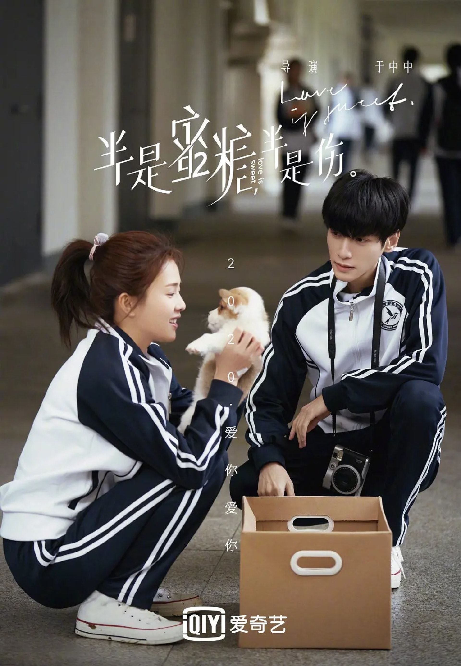 9月必追的7套中国剧！杨幂《暴风眼》登场啦