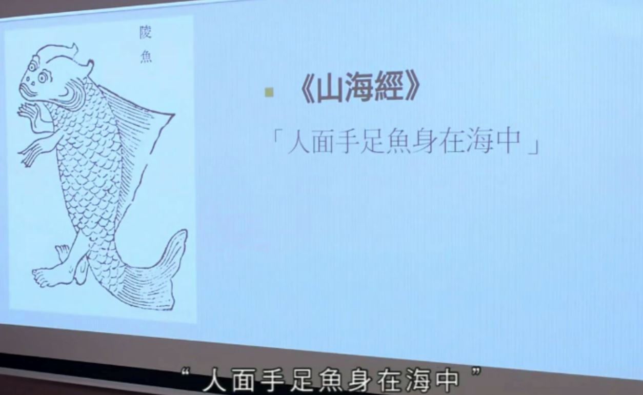 《十二传说》「人鱼传说」登场!到底「人鱼」怎么形成的?