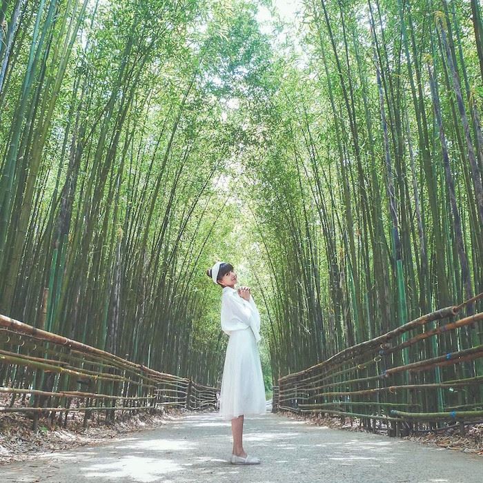 森林系女孩！到台湾就到这3个景点呼吸芬多精
