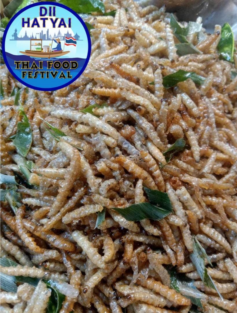 🇹🇭泰国美食市集dii hatyai thai food festival 来啦❗除了美食还有各种表演🔥