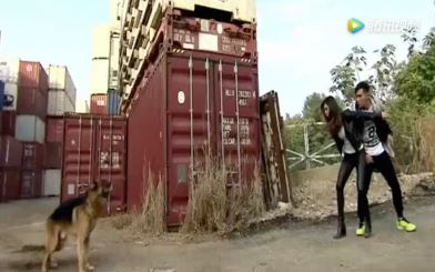 盘点 tvb 警匪片 7 大特色！重案组一定是在西九龙～