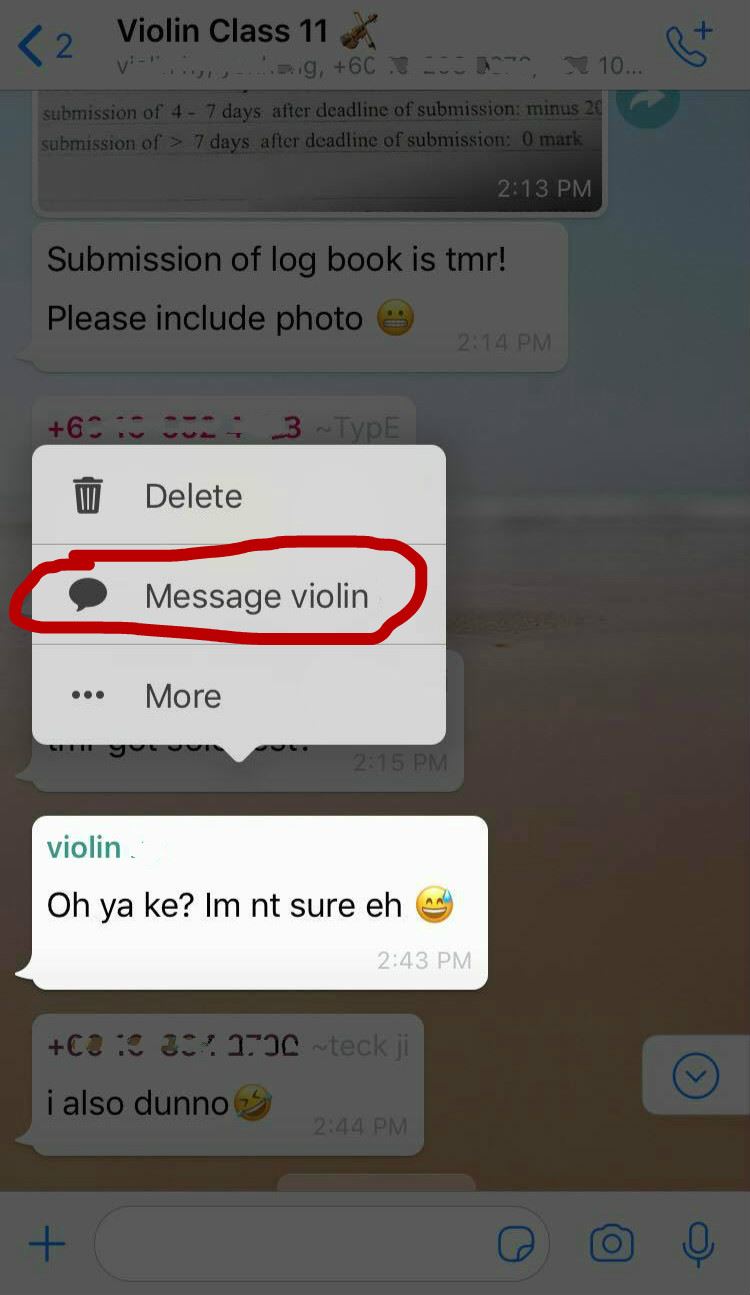 whatsapp推出群组「私下回复」!想说什么都不怕尴尬!