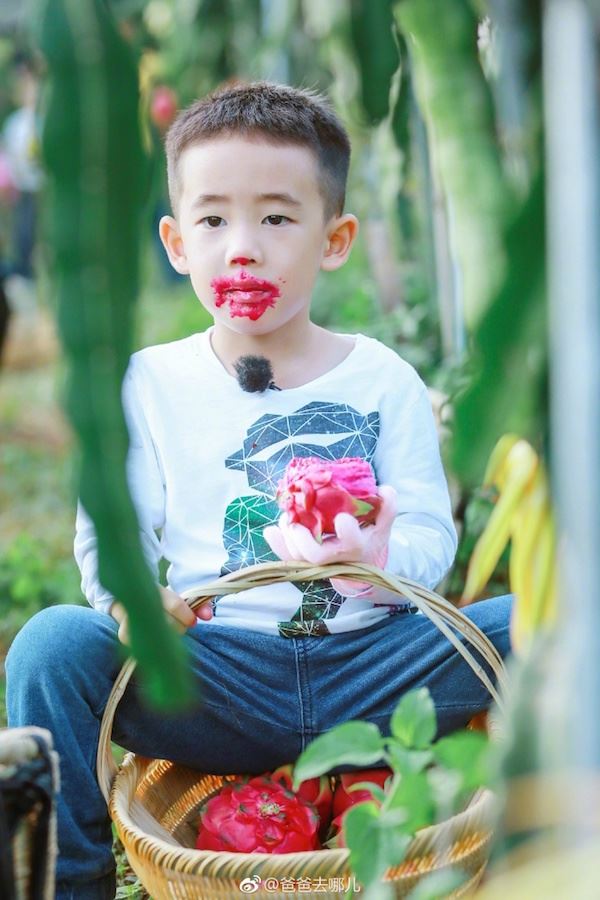 jasper吃红龙果有「偶像包袱」！陈小春独自带萌娃硬碰强敌嗯哼