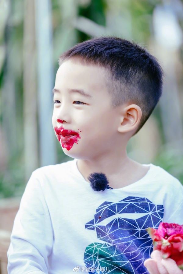 jasper吃红龙果有「偶像包袱」！陈小春独自带萌娃硬碰强敌嗯哼