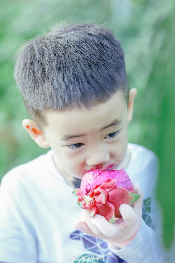 jasper吃红龙果有「偶像包袱」！陈小春独自带萌娃硬碰强敌嗯哼