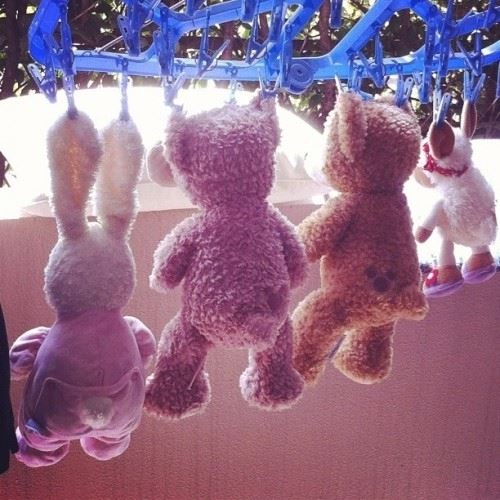 厉害夹娃娃也要会照顾！是时候清洗床上的娃娃了！