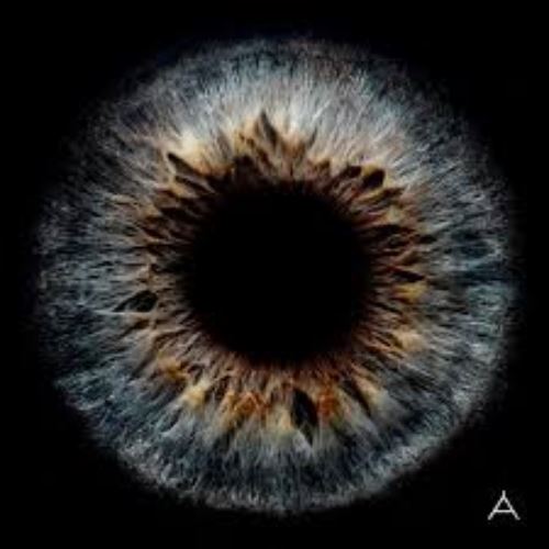 my fm 本周热爆劲碟 – 林宥嘉<apples of thy eye>