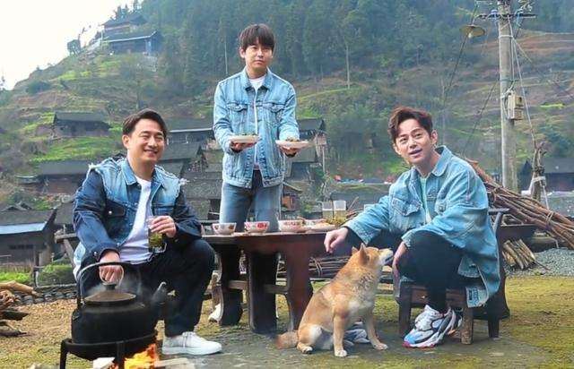 吴谨言、angelababy、热巴人气pk! 5部近期上档的热门中国综艺节目!