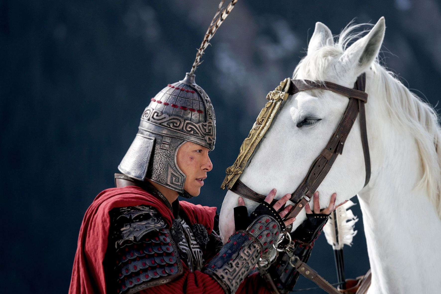 🎬电影《传说》张艺兴真打真摔❗跟马对戏连哄撒娇使出绝活🤣