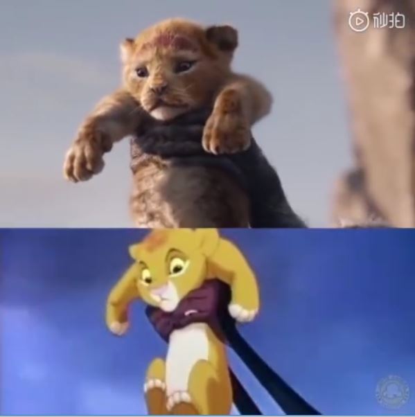 终于等到真人版《the lion king》！5个原因让影迷超期待