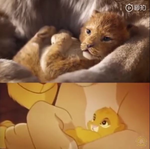 终于等到真人版《the lion king》！5个原因让影迷超期待