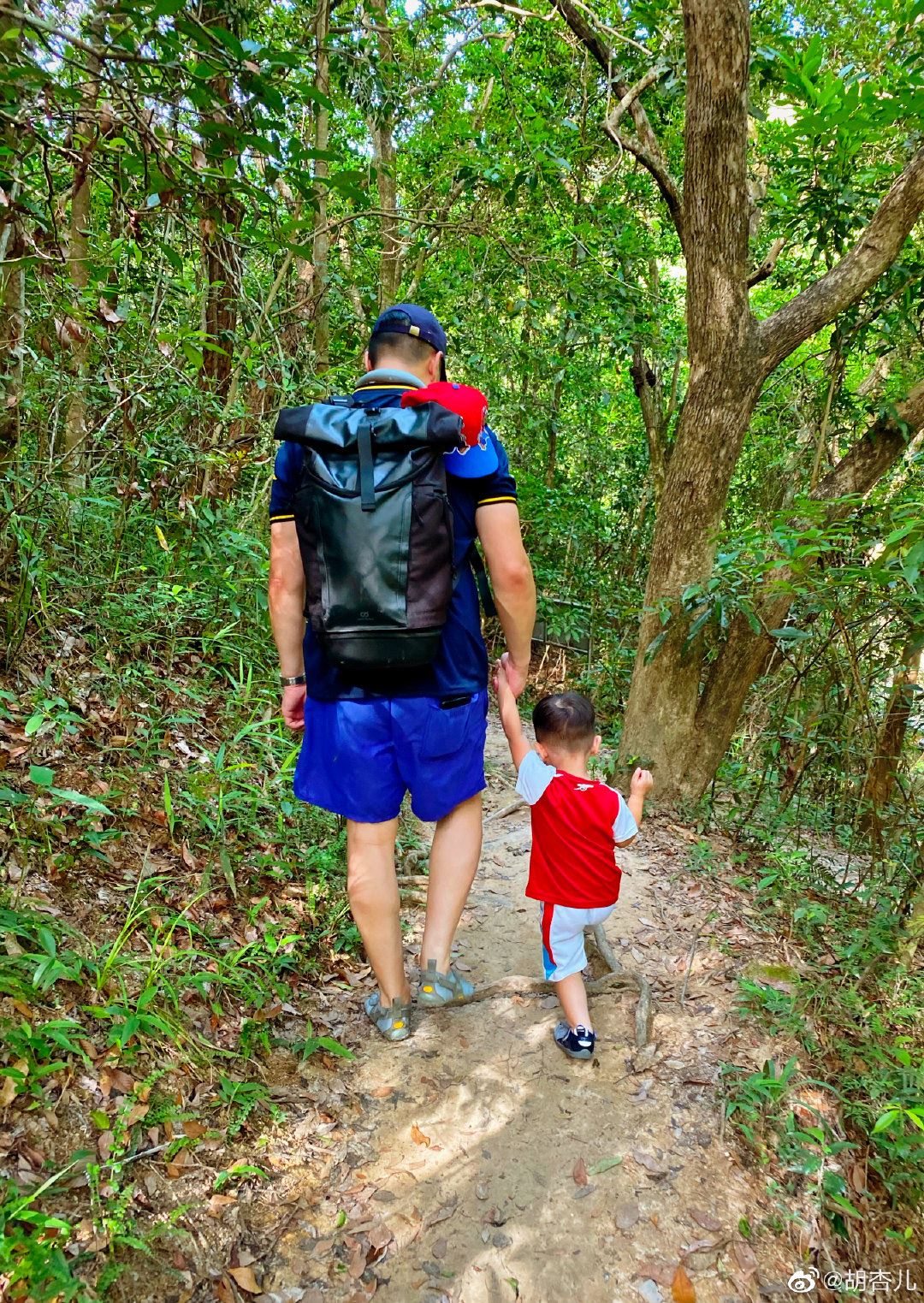 胡杏儿晒一家三口出游照，与瀑布合影儿子红透脸蛋