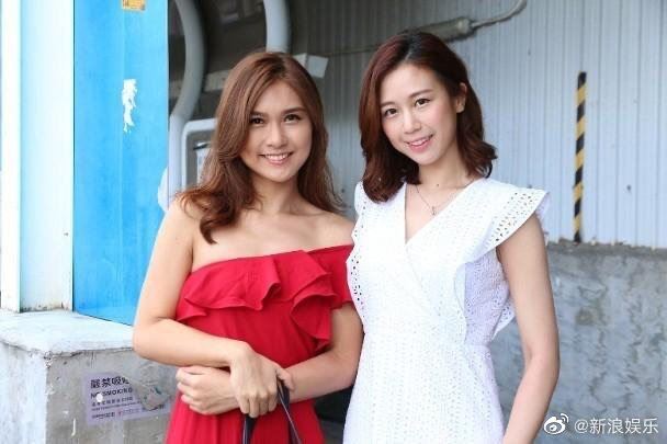 入围15强香港小姐佳丽曝光！选手气质特征各不同！