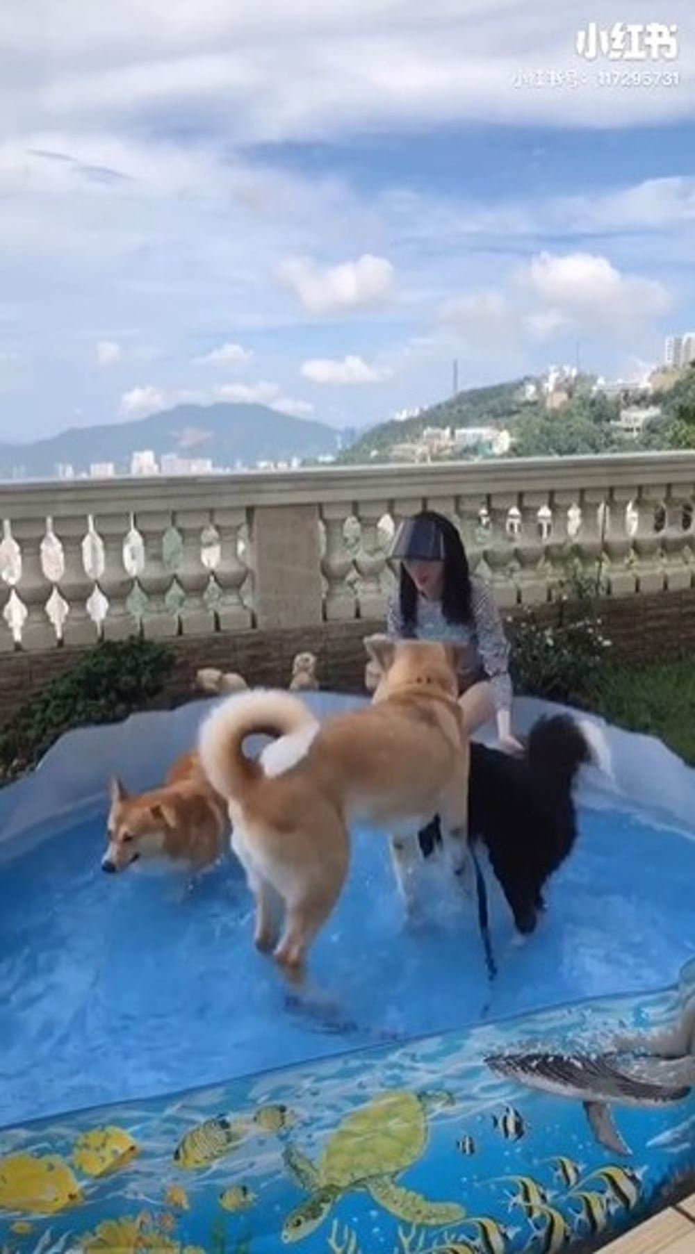 林夏薇豪宅曝光！无敌海景观装潢设备超豪华！