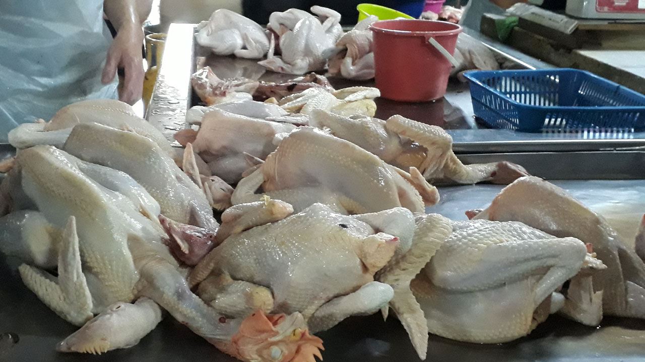 焦点新闻：国内多个州属在闹“鸡肉荒”！