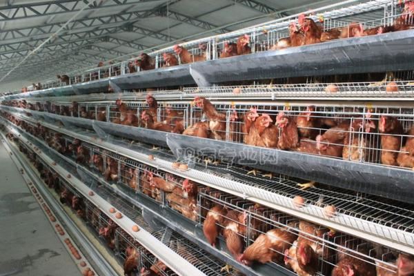 焦点新闻：大马一家援助金加码，与第二轮bkm一起发放！