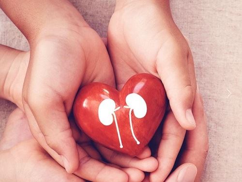 அதிகமானோர் உடல் உறுப்பு தானத்திற்காக காத்திருக்கின்றனர்!