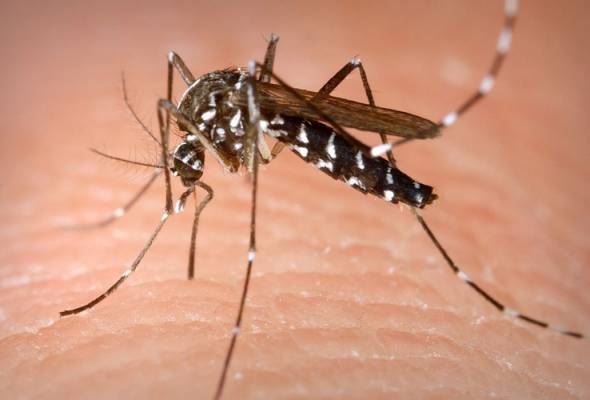焦点新闻:电影院落实2新分类级别制