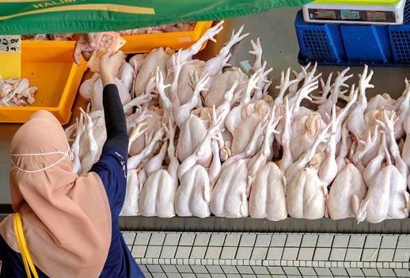 焦点新闻：管制”所有香烟产品“的新法案将提呈国会