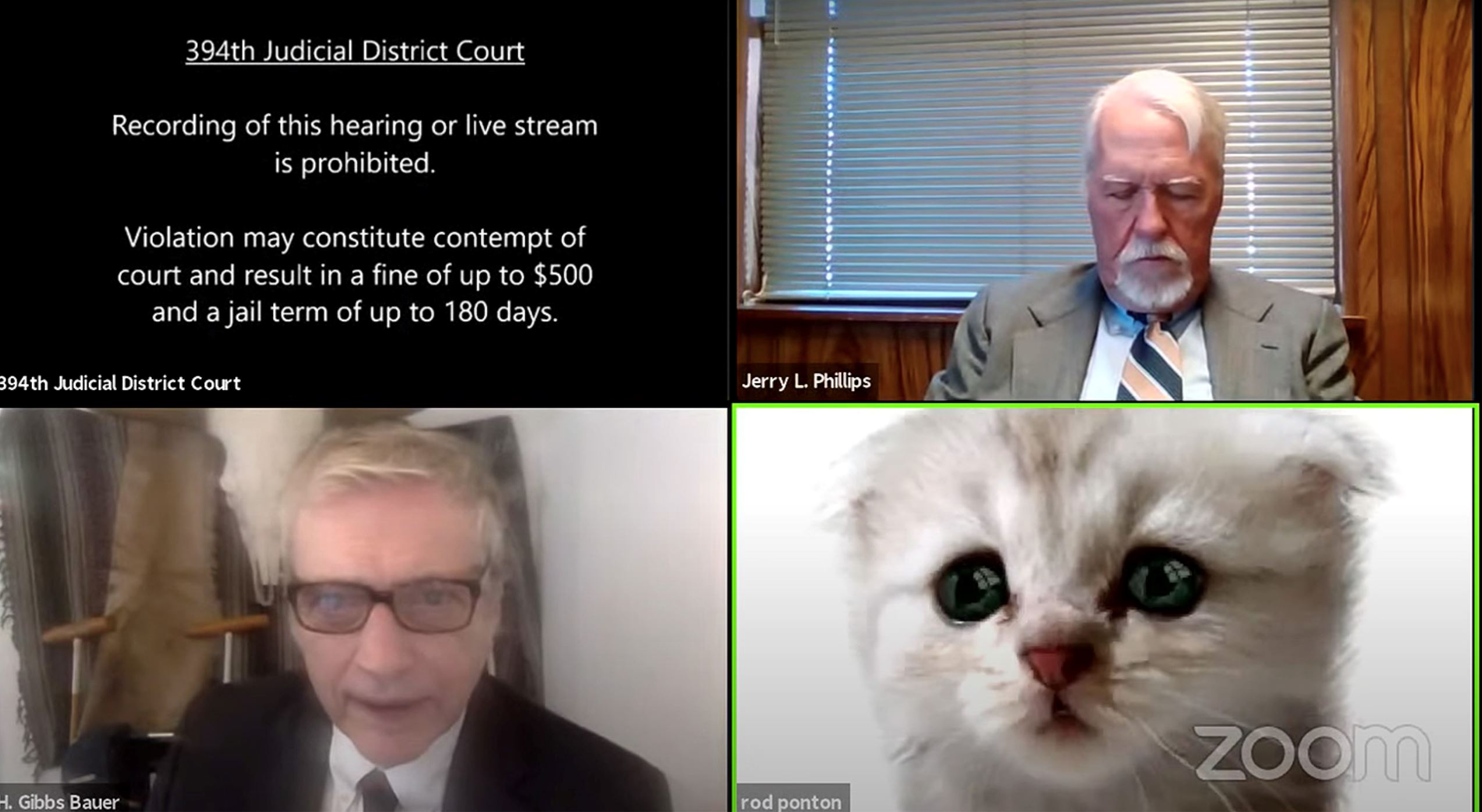lawyer in virtual court hearing with cat filter on!