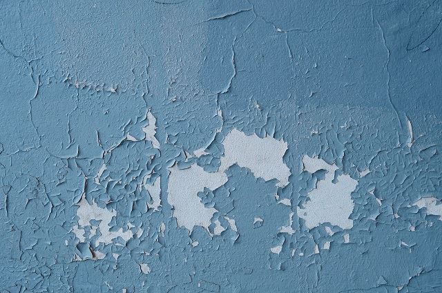 ready to buy a house as a couple? check the walls for these 4 things first