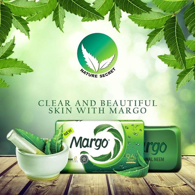 many people believe this tree is a natural remedy for health troubles