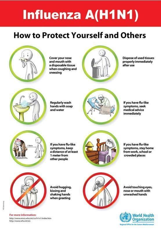 the outbreak of influenza in malaysia