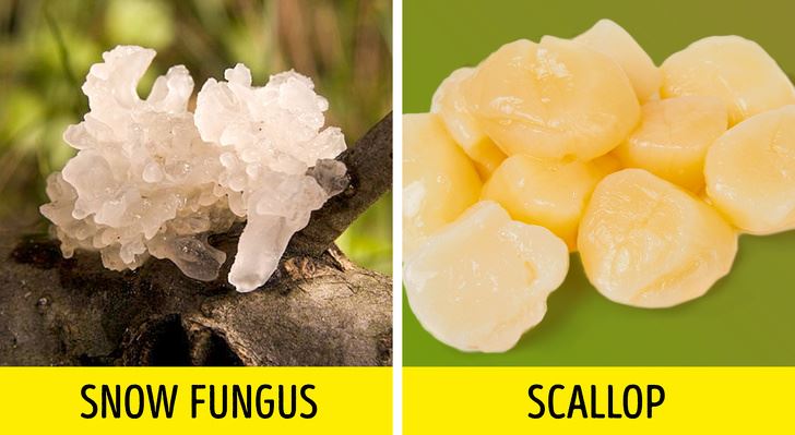 5 jenis makanan tiruan yang korang selalunya tertipu