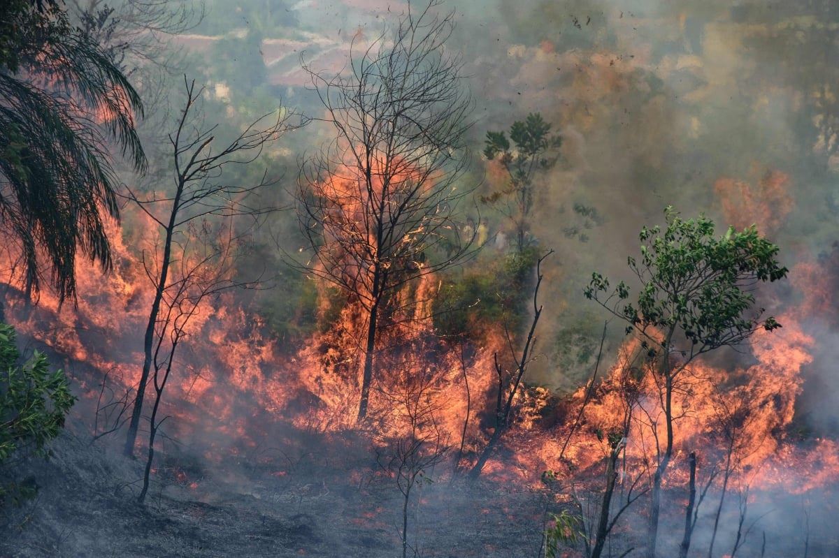 asap kebakaran hutan di riau kini merebak ke beberapa kawasan di malaysia