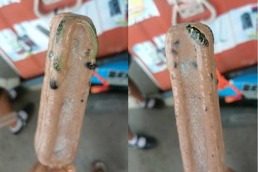 pemuda terkejut terjumpa ular beku dalam aiskrim