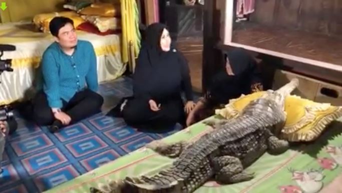 Anak Manusia Kembar Buaya, Buaya Ini Didakwa Menangis 
