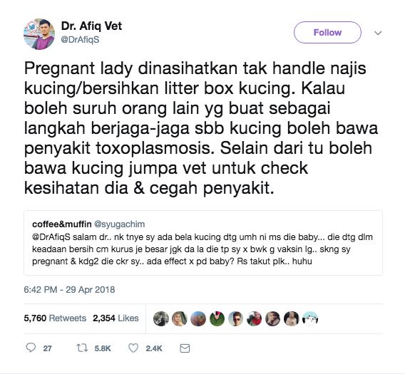hati - hati! ibu mengandung tidak disarankan tidak menguruskan najis kucing