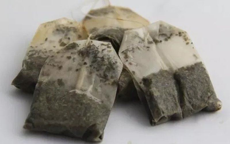 ah tikus! gunakan 4 cara semula jadi ini untuk menghalau tikus