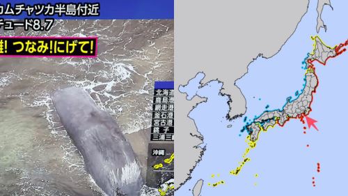 [VIDEO] Gempa 8.8 Magnitud, Empat Ekor Paus Terdampar Serlahkan Ancaman Tsunami di Jepun