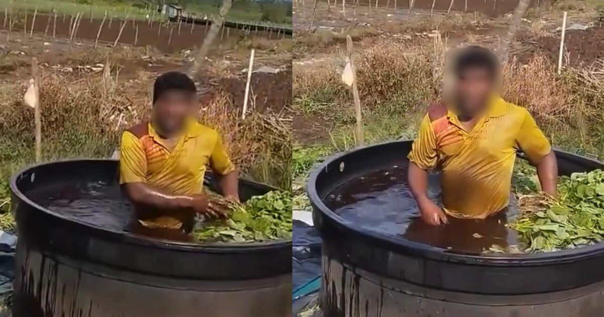 [VIDEO] Warga Asing Cuci Sayur Sambil Berendam Dalam Tangki Air, Netizen Persoal Tahap Kebersihan