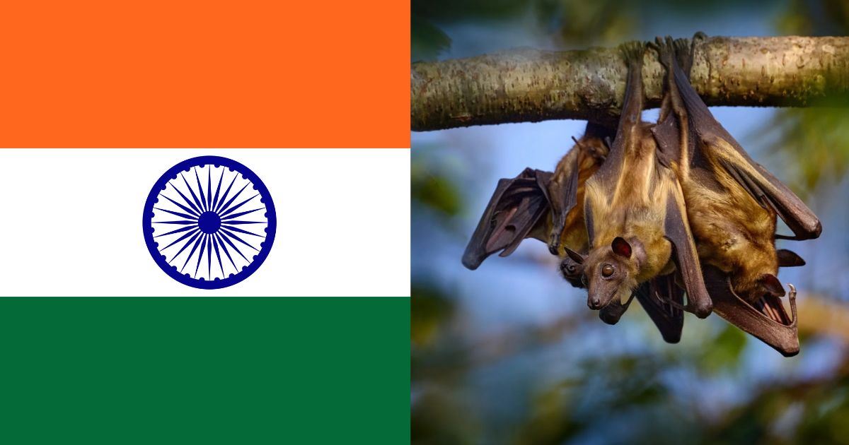 Tiada Ubat, Tiada Vaksin: Virus Nipah Kembali Mengganas di India!
